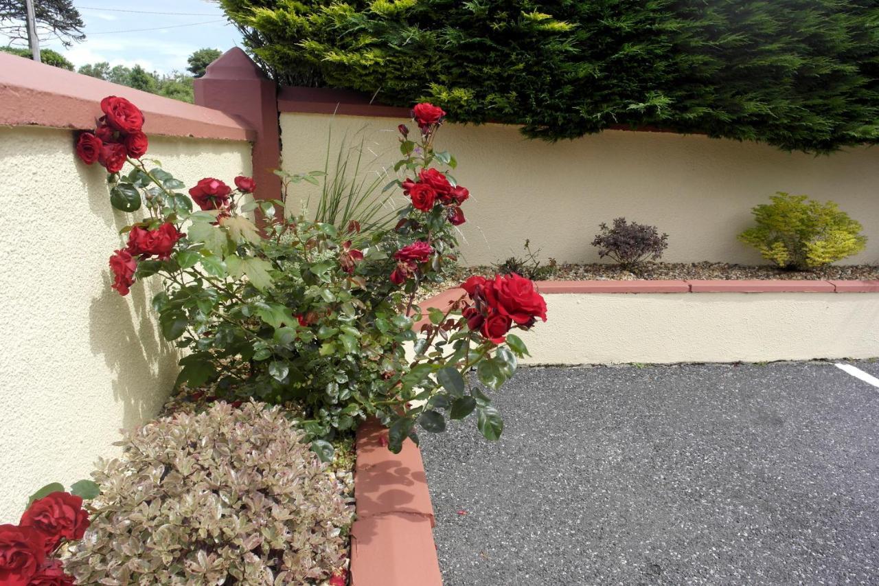 Seacourt Accommodation Tramore - Adult Only Kültér fotó